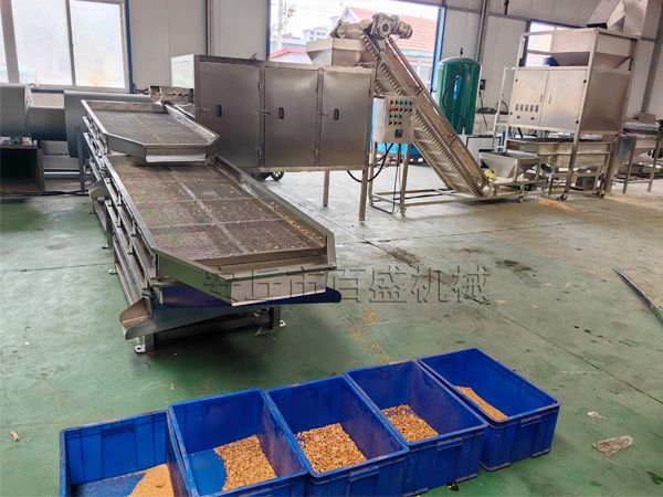 花生碎加工流水線
